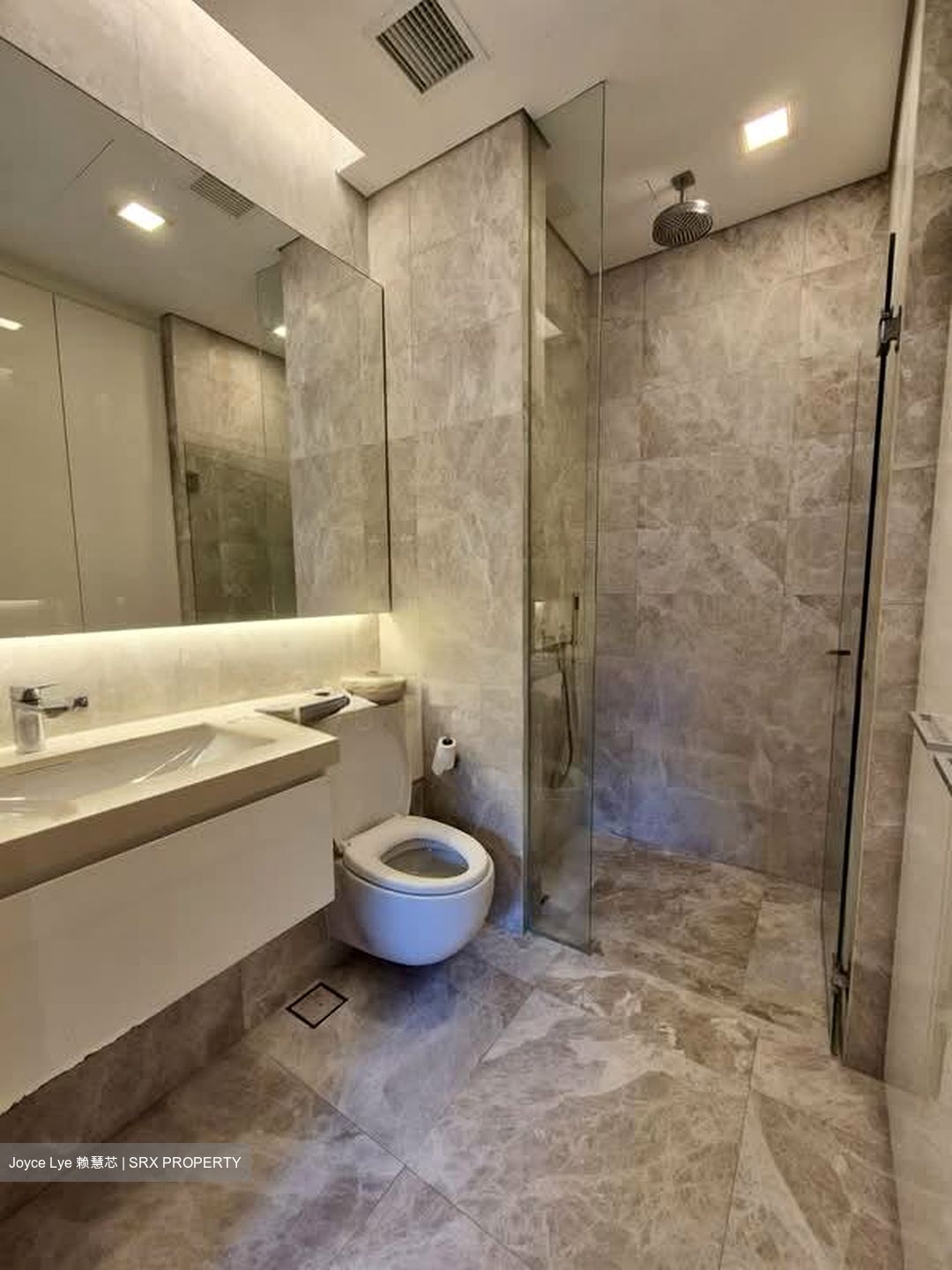 The Laurels (D9), Condominium #576337541